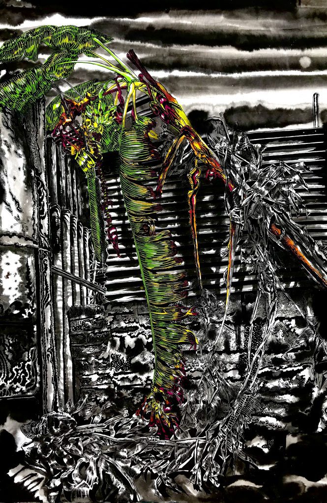 thomas-henriot-la-havane-cuba-vedado