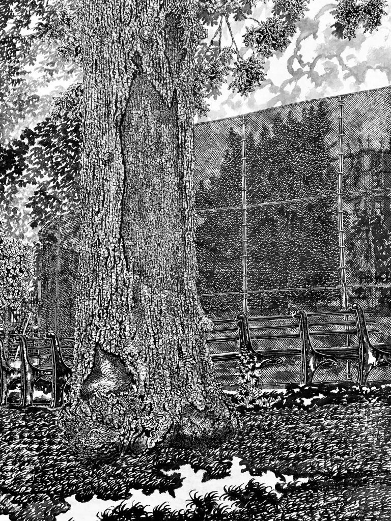 thomas-henriot-new-york-city-harlem-10