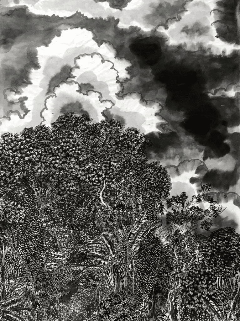 thomas henriot cameroun