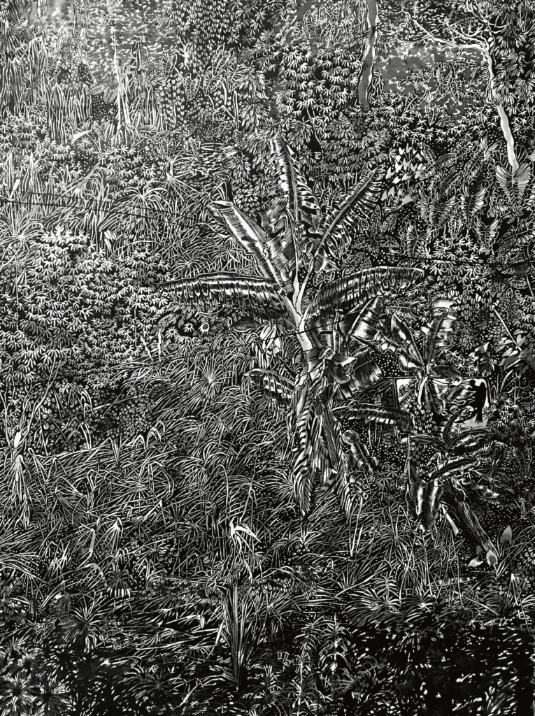 thomas henriot cameroun