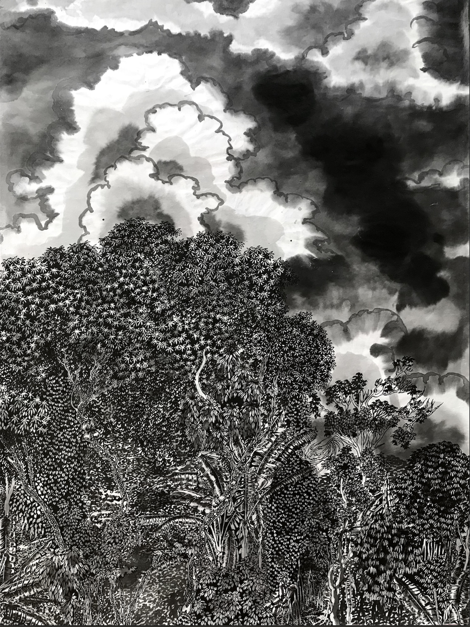 thomas-henriot-cameroun-encre-de-chine