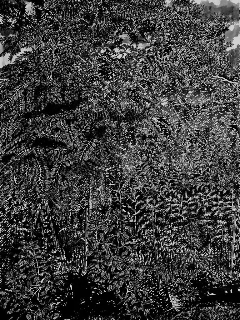 thomas-henriot-new-york-city-harlem-7