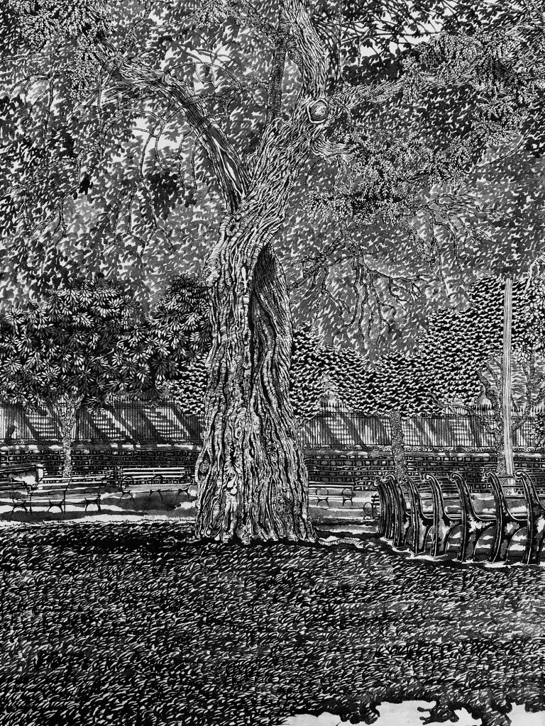 thomas-henriot-new-york-city-harlem-9