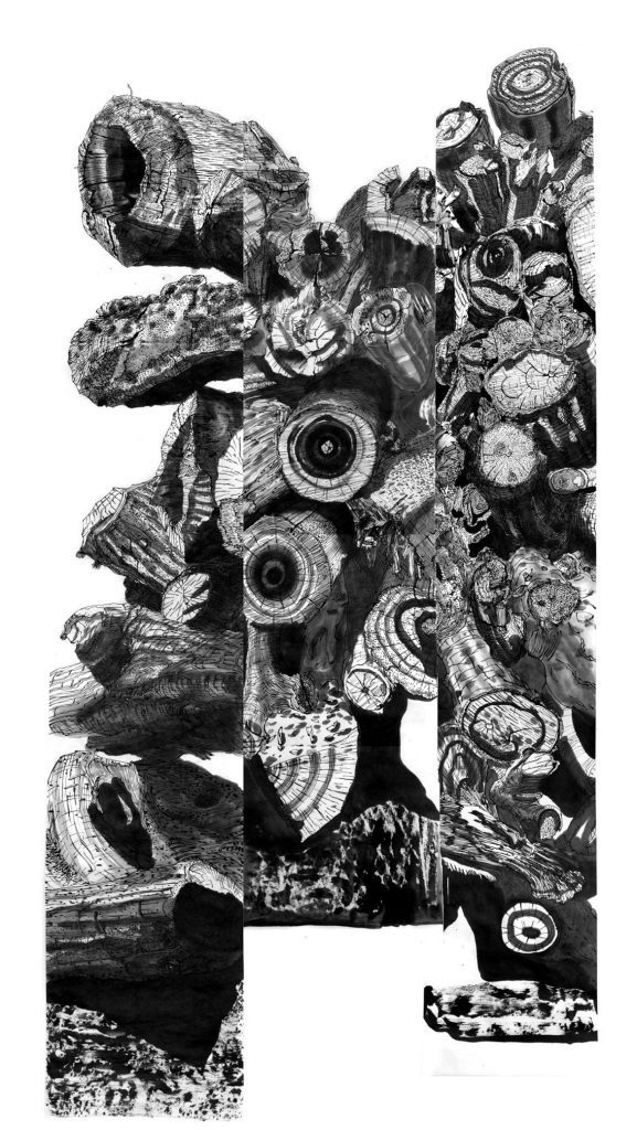 thomas-henriot-livre-des-fleurs-bois-rouge-2016